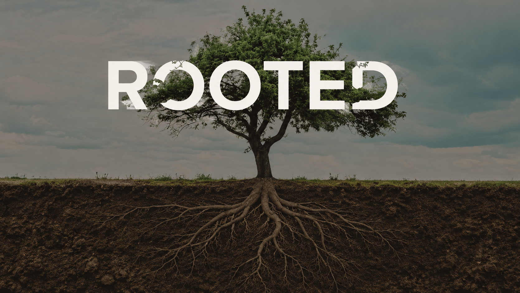 Rooted sermon series