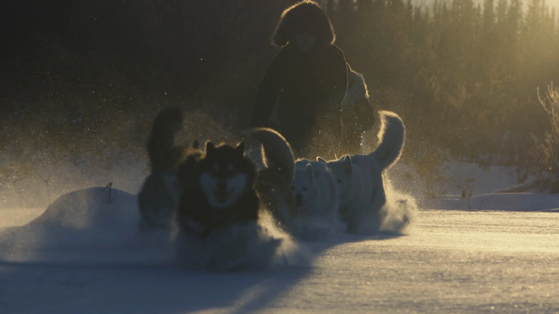 TheLastAlaskans_1.1.8.jpg