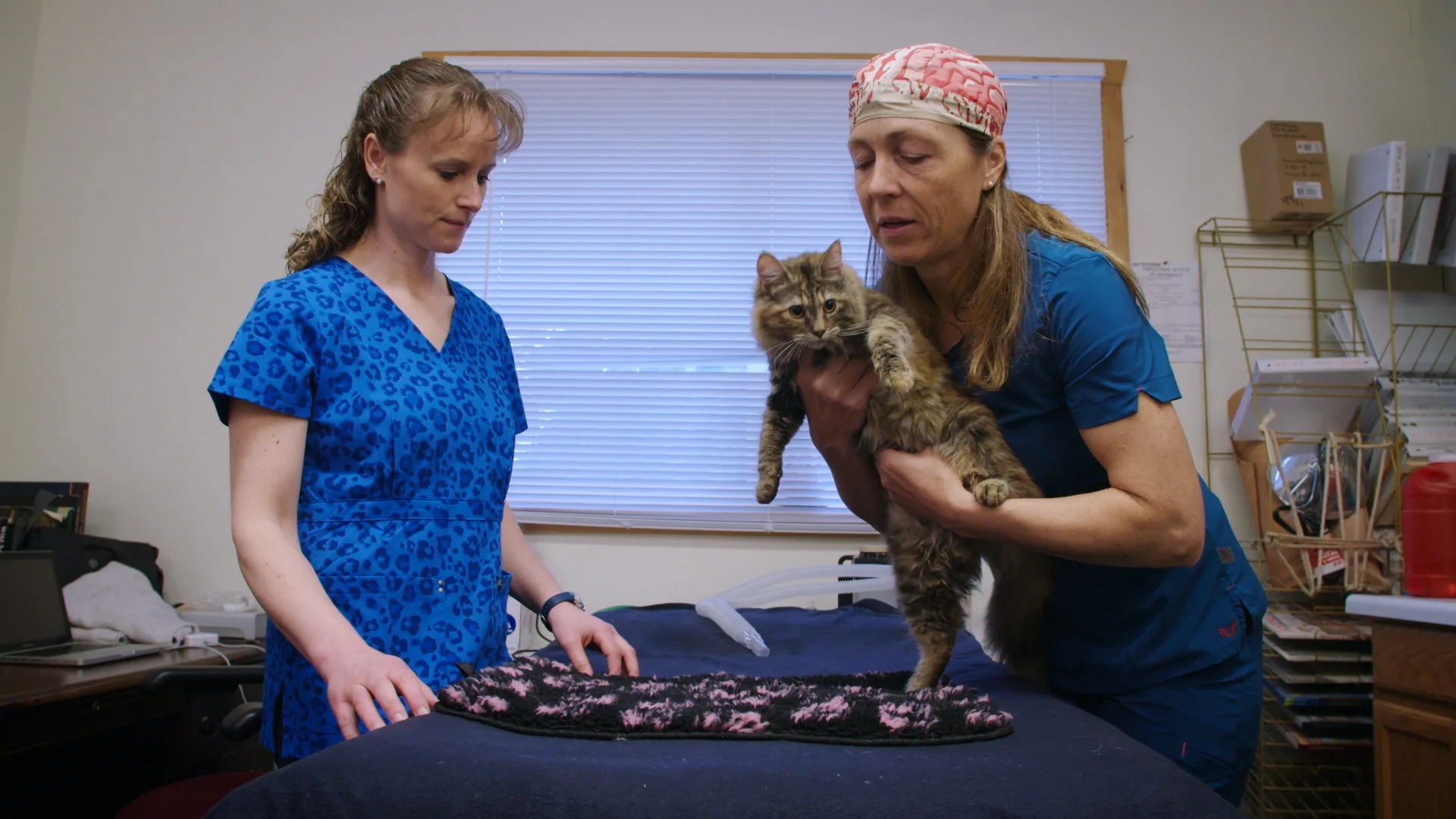 YukonVet_S3__1.6.1.jpg