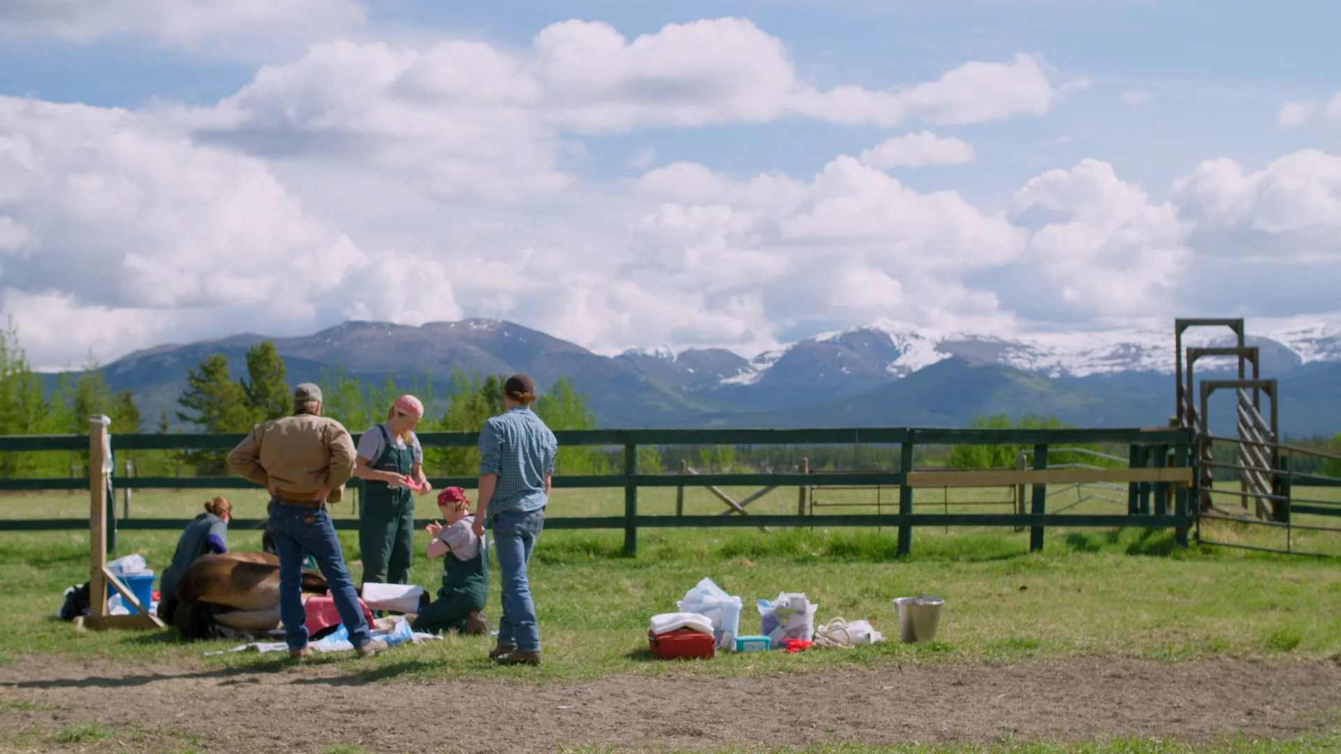 YukonVet_S3__2.1.12.jpg