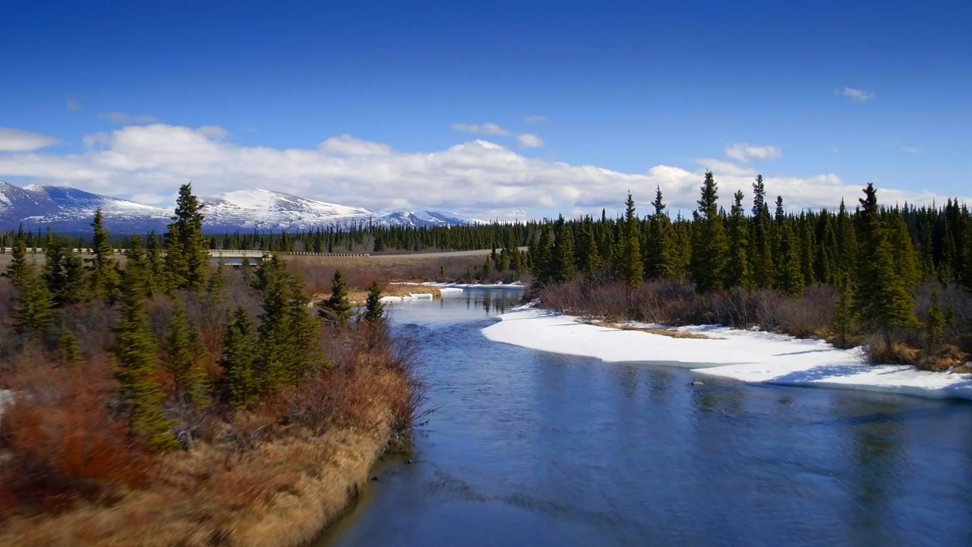 YukonVet_S3__1.1.3.jpg