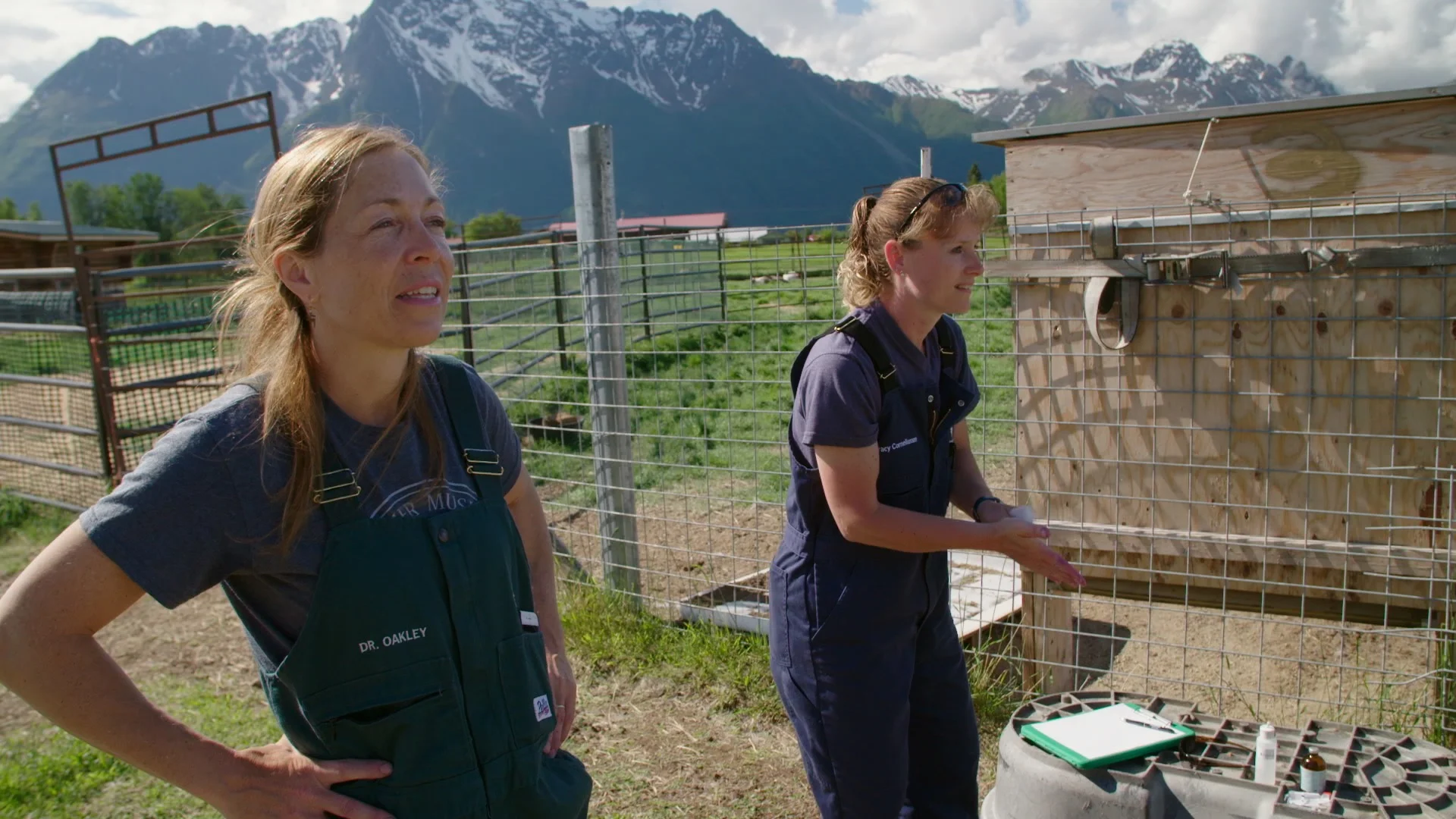 YukonVet_S3__1.5.4.jpg