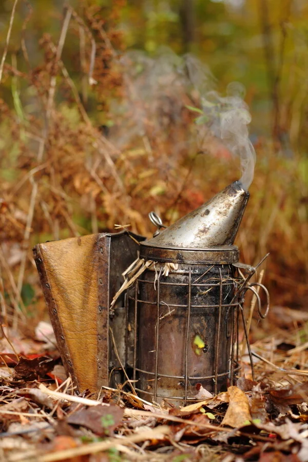 115_APH_Honey.JPG
