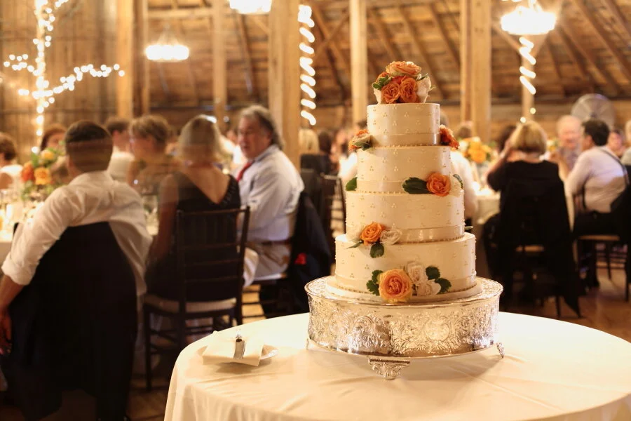 163_WeddingsAPH.JPG