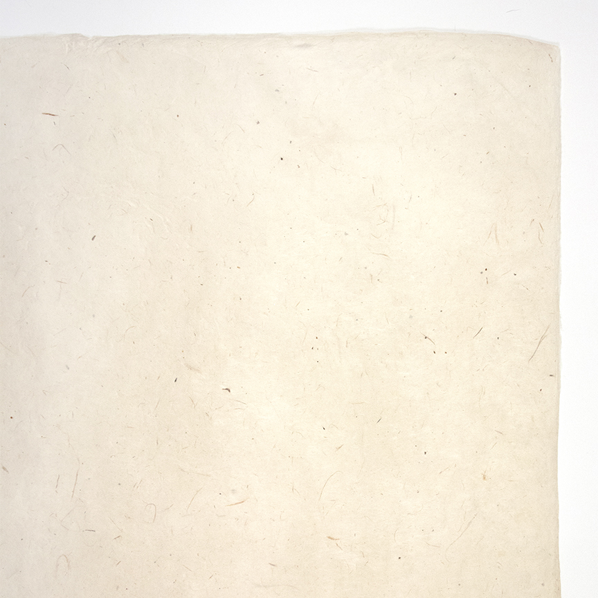 Lokta Handmade Paper — Colophon Book Arts Supply