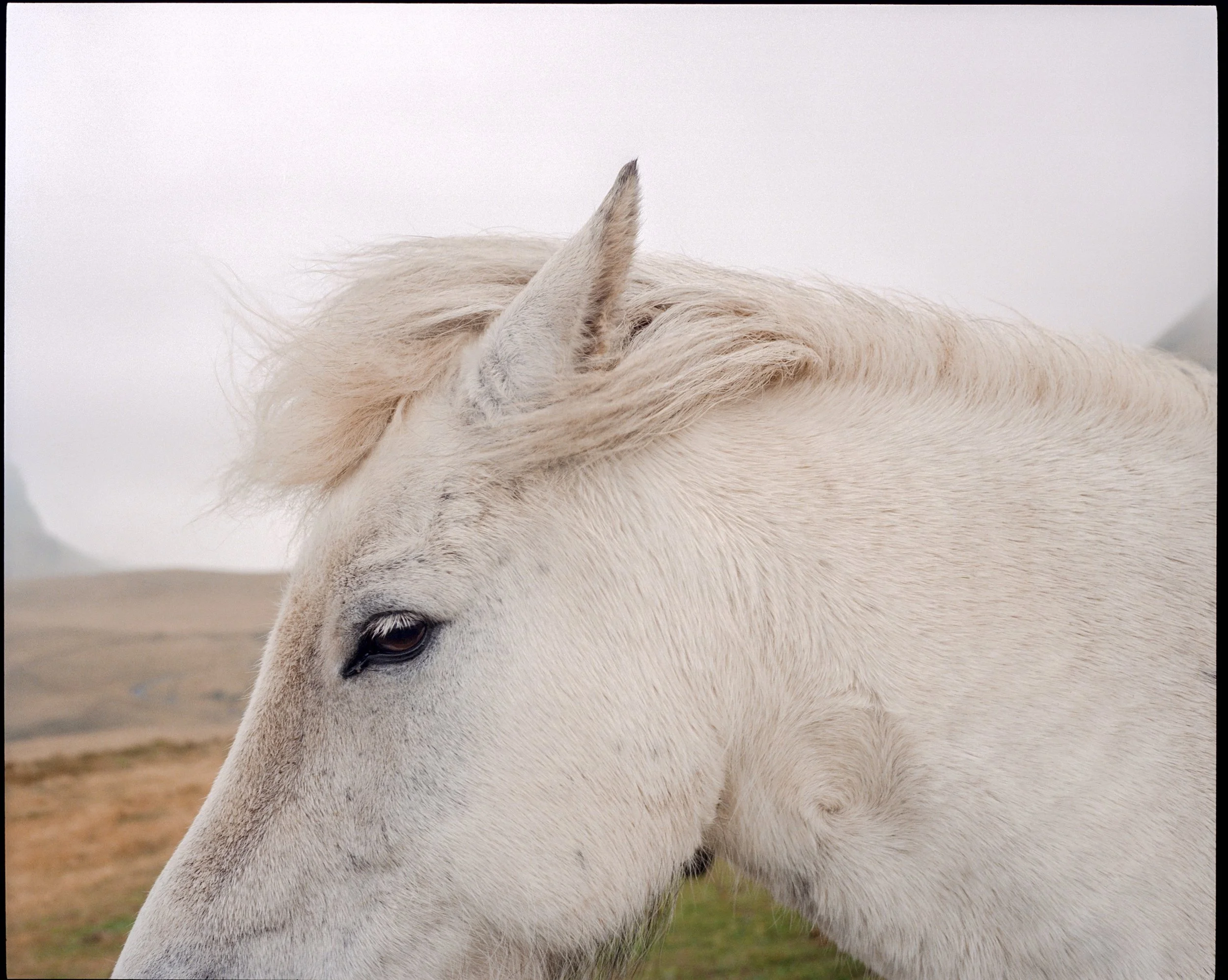 Iceland 