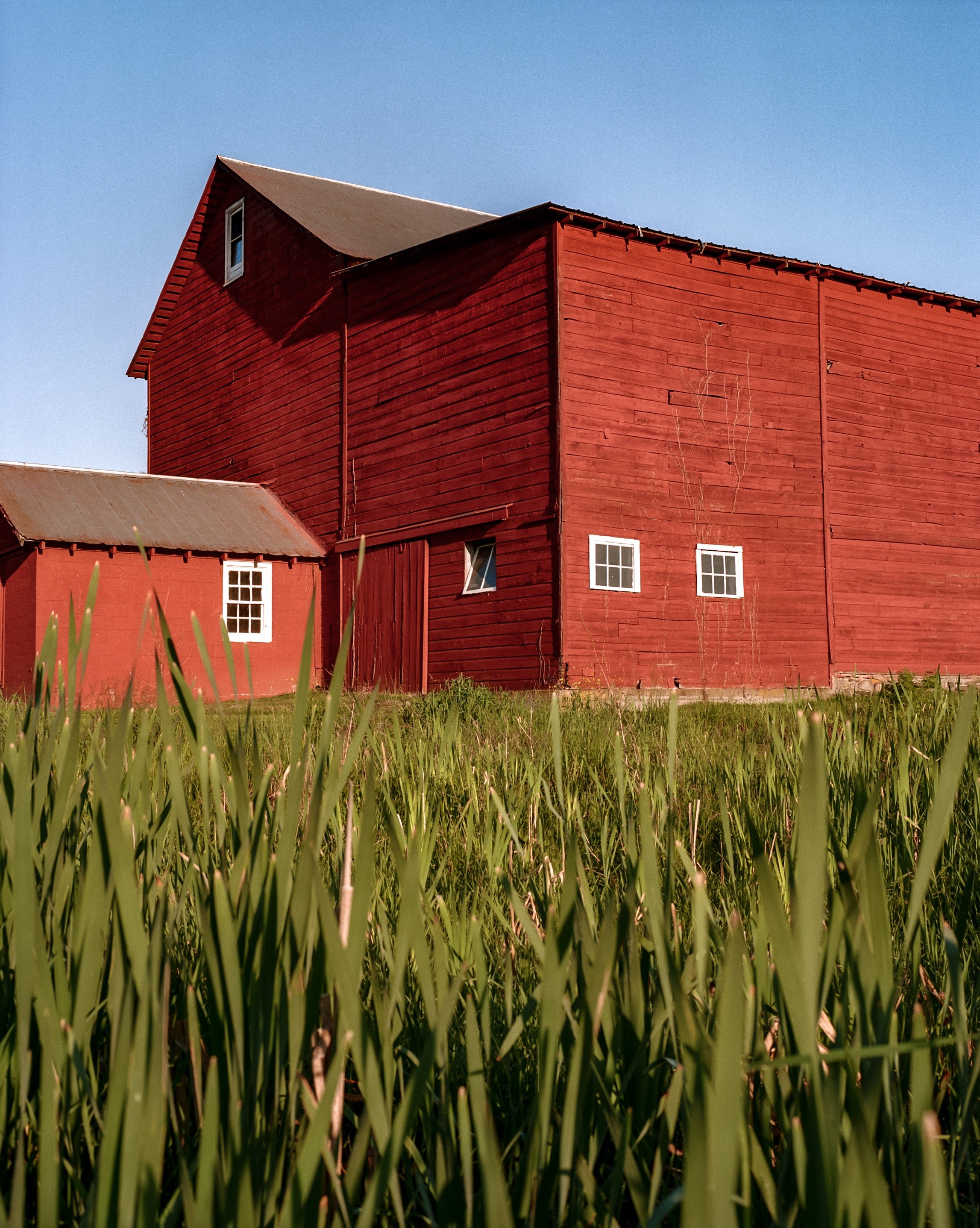 Callisto Hudson Valley