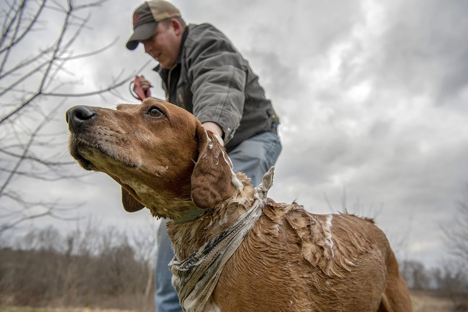  Rick Johnson washes his dog, Cassidy, after catching her rolling around in the muck created by weeks of intermittent heavy rains in the hills of Tuppers Plains. 