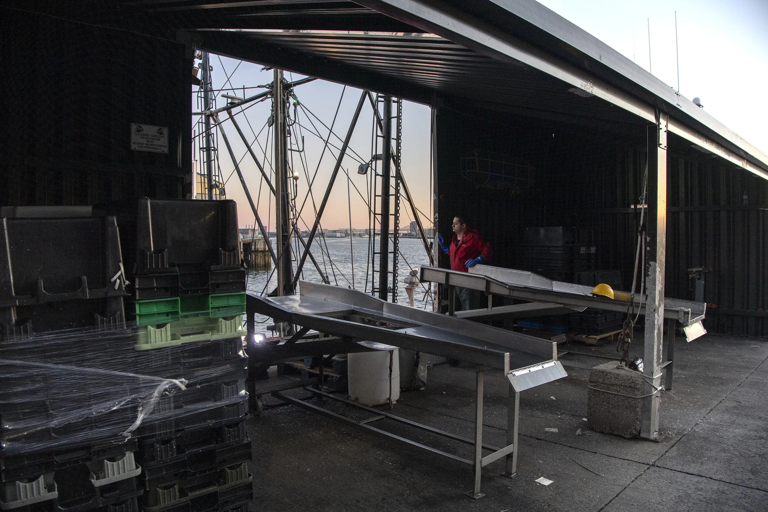  As dawn breaks over Boston Harbor, a lone employee at the Boston Fish Pier waits to offload larger boats arriving from multi-day trips in deeper waters. The money is no longer in the small boats that have been the foundation of commercial fishing in