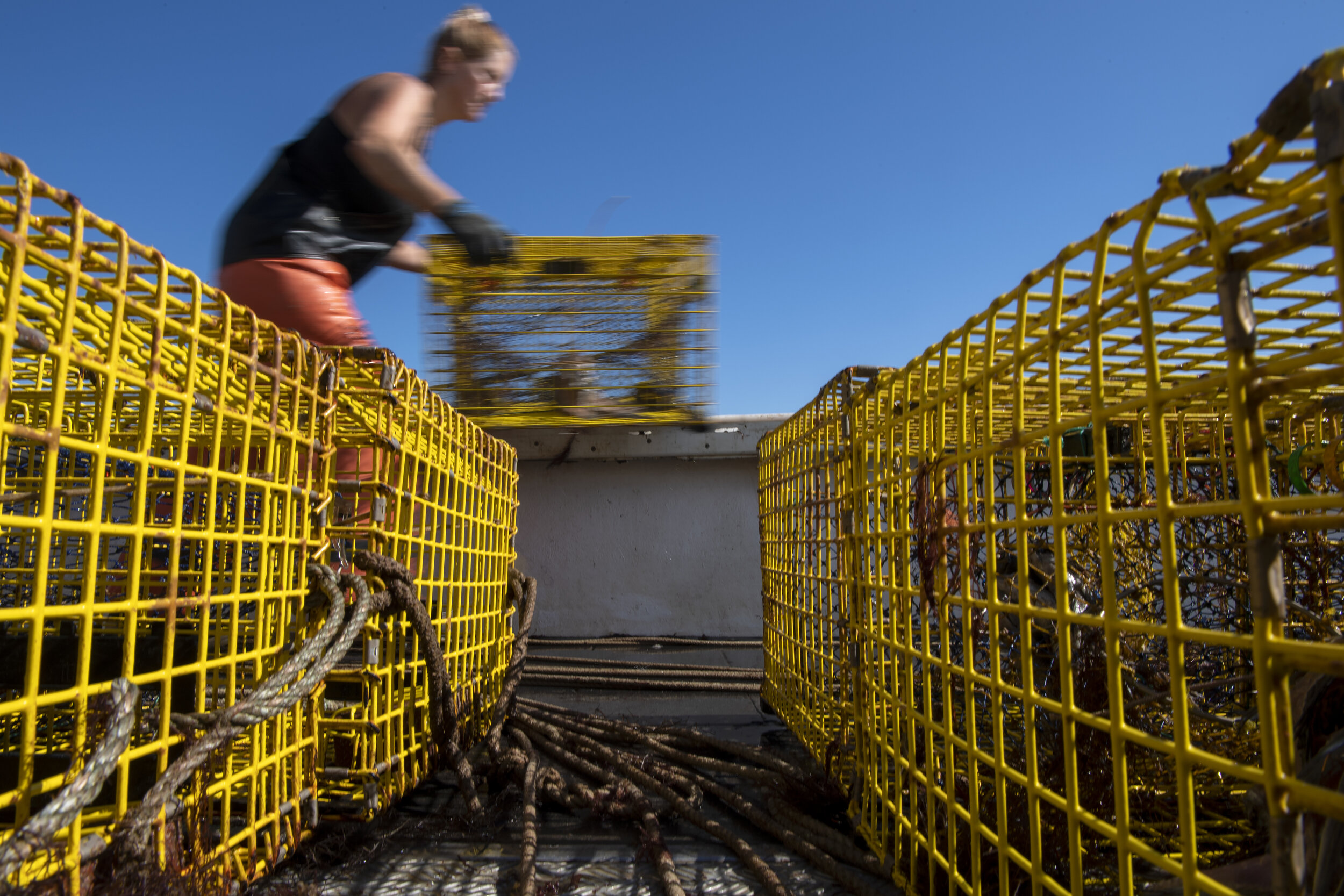 Lobstermen Cara Delaney runs lobster traps to the back of the lobster boat, Pot Luck, on Cape Cod Bay. Each lobster pot is weighted down to make it stays on the ocean floor, making moving them on the boat even more strenuous.