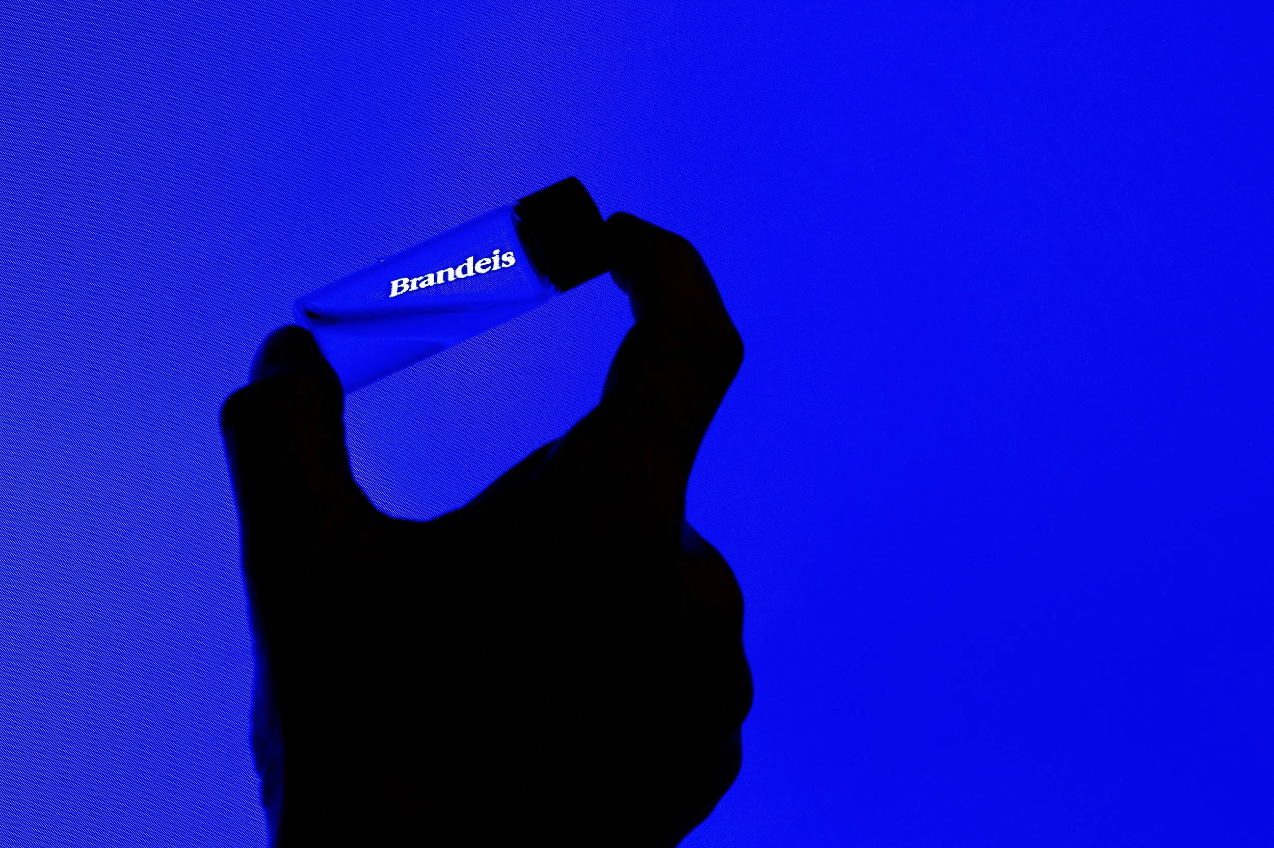  A conceptual photograph illustrating Brandeis' connections to the sciences. Just like in photography, experimenting is the pathway to discovery. Brandeis punches above its weight as a small research university conducting world changing research. 