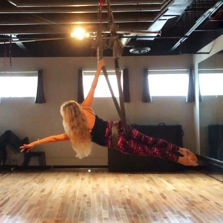 Aerial Yoga Foundations Teacher Training