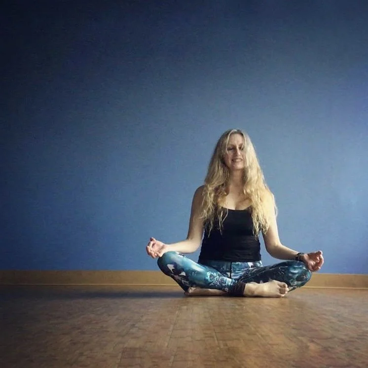 Teacher Enrichment: Yin Fundamentals