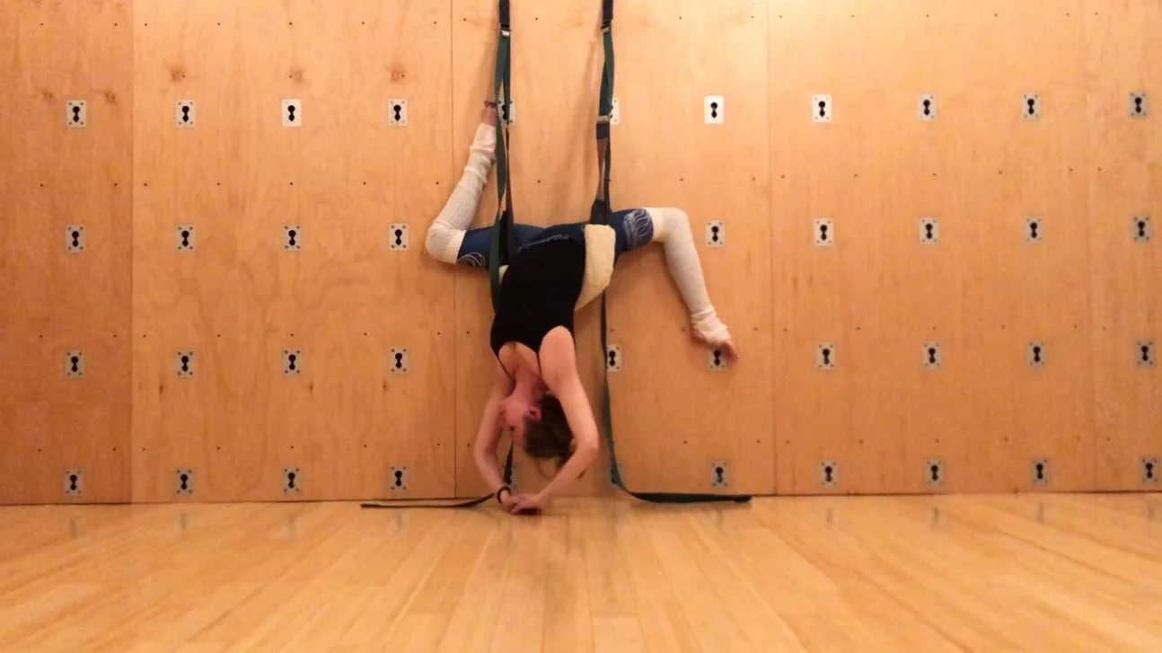 Rope Wall Yoga Teacher Training