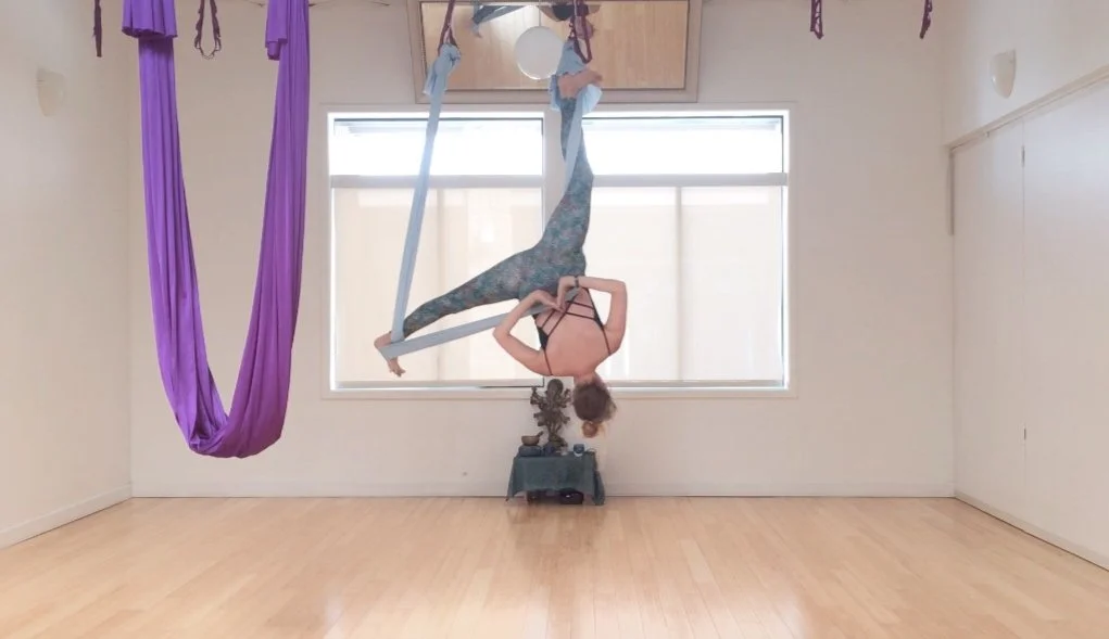 Aerial Foundations Teacher Training