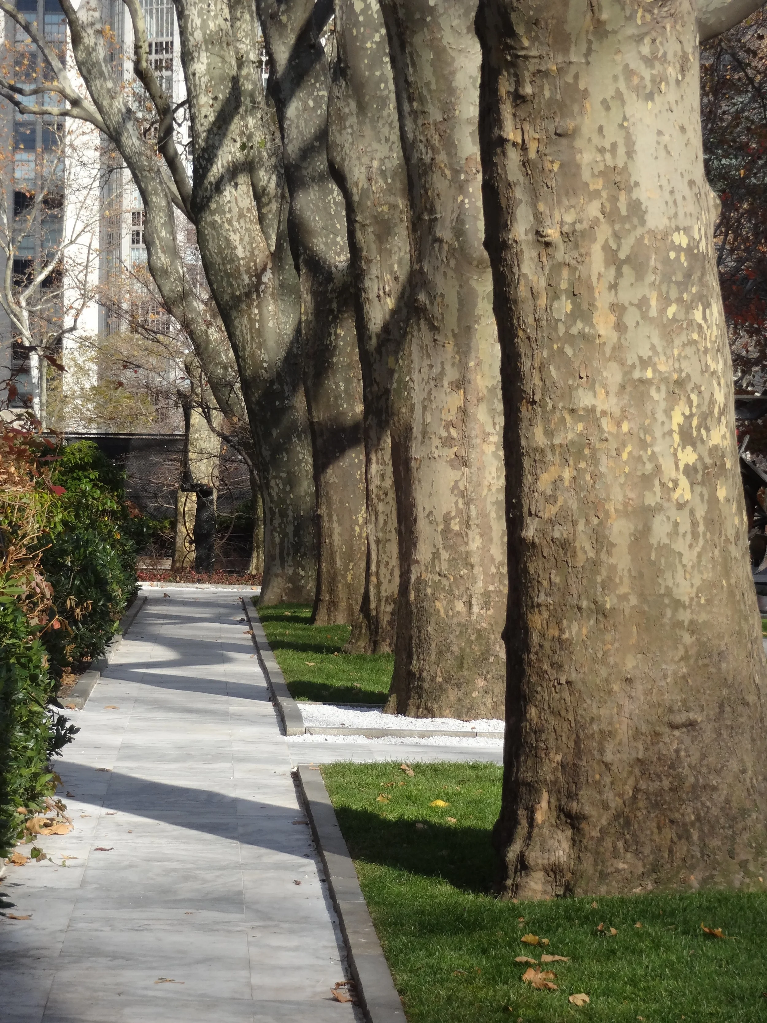 Rockefeller Paving Restoration_Lead 1.JPG