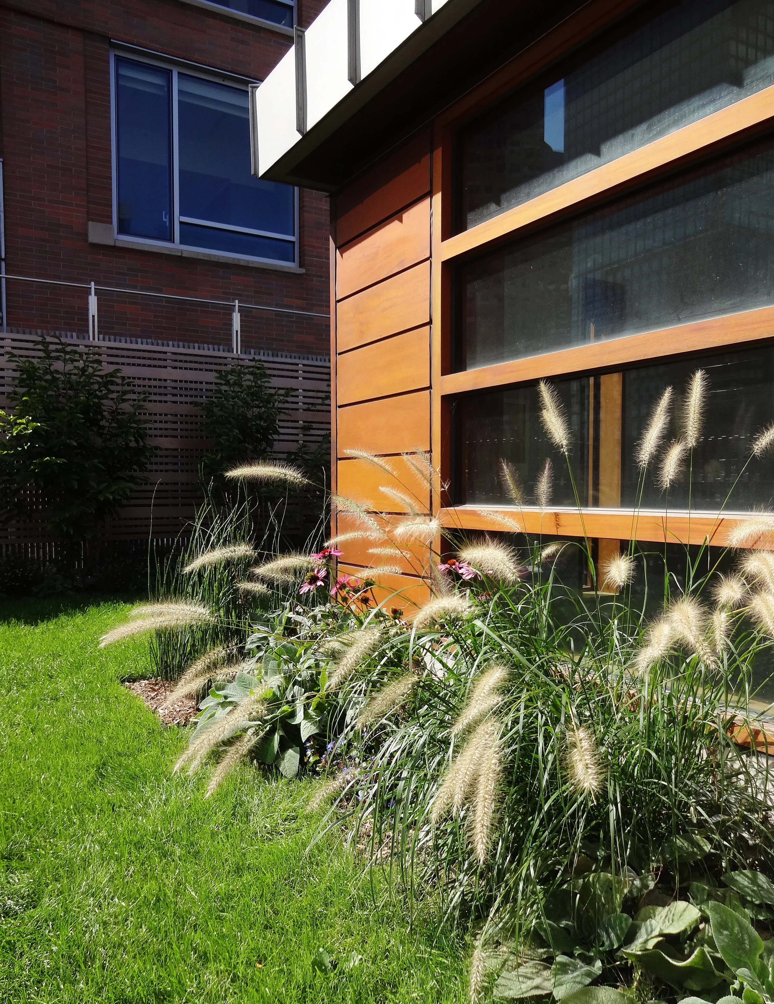 battery park city roof garden 2.JPG