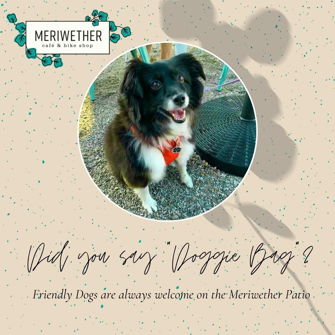 The weather is amazing and the patio is relaxing. Friendly dogs are always welcome!⁠
⁠
#merilife #meriwethercafe #katytrail #playoutside #supportlocal #shoplocal #shopsmall #locallysourced #smalltown #rocheport #missouri #breakfast @visitrocheportmo 