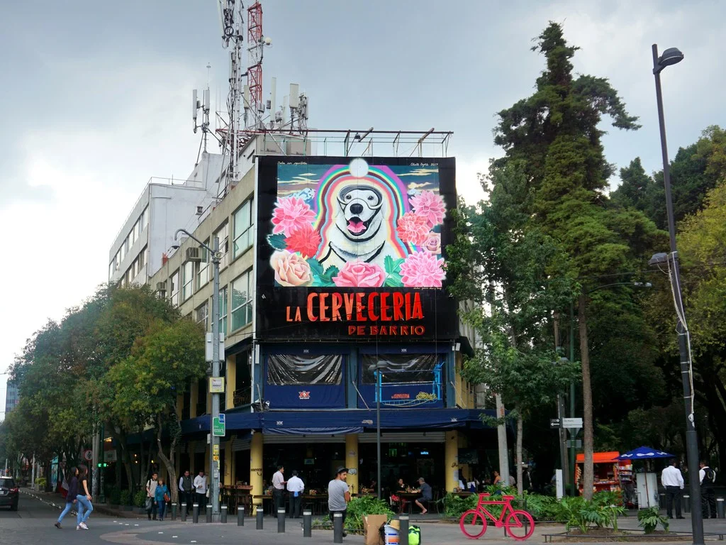 CONDÉ NAST TRAVELER- Frida the Rescue Dog Has Her Own Mural Photo Credit: Celeste Byers