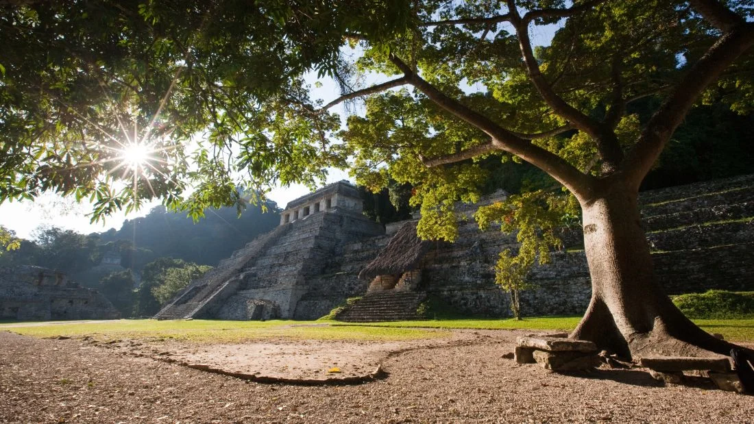 CNN TRAVEL - Mexico's Palenque is the Best Historical Site you've Never Heard Of Photo Credit: CNN Travel
