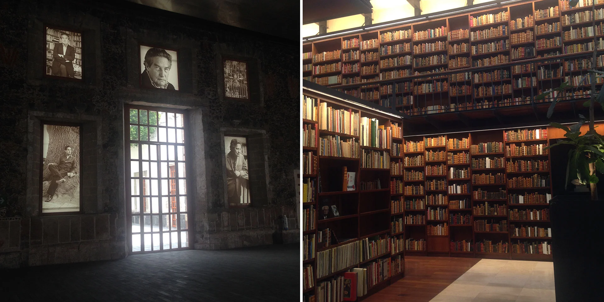 MARRIOTT TRAVELER - Un guía de Ciudad de Mexico para los Amantes de los Libros Photo credit: Susannah Rigg