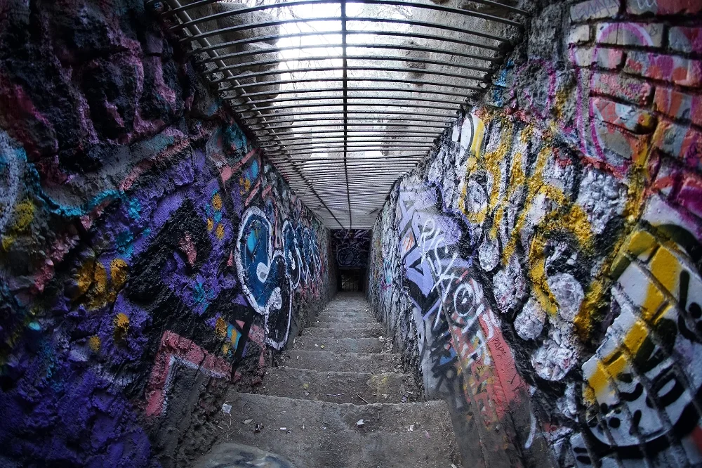 Think edgy and rad, and you’ve got a picture of the Old Zoo . Complete with eye-catching murals, graffiti and all shades of street art, this seemingly neglected masterpiece is the telltale definition of urban decay. Its moody caves and enchanting scenery paint a detailed picture of its turbulent past – its dense vegetation and hiking trails on the other hand, gracefully usher you into the warm embrace of Mother Nature. If you’re one for the views, then you’re in luck. The Old Zoo overlooks the city of LA to provide a breathtaking birds-eye perspective replicated nowhere else in the city. Come with your full frame camera kit; you’ll want to capture every inch of this splendid showcase. Photo courtesy of Austin Donnelly