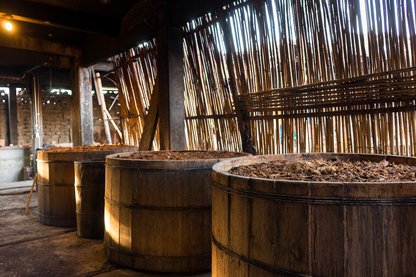 fermenters_large_pics.png