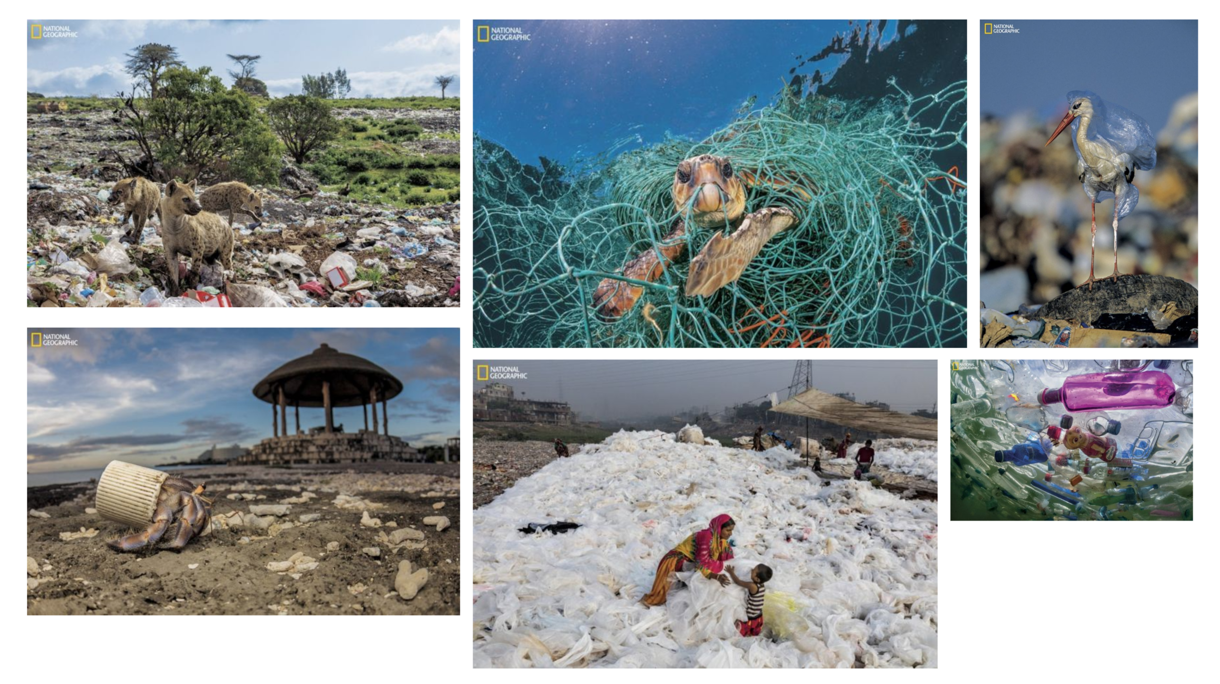 Plastic Pollution: Images of a Global Problem, National Geographic