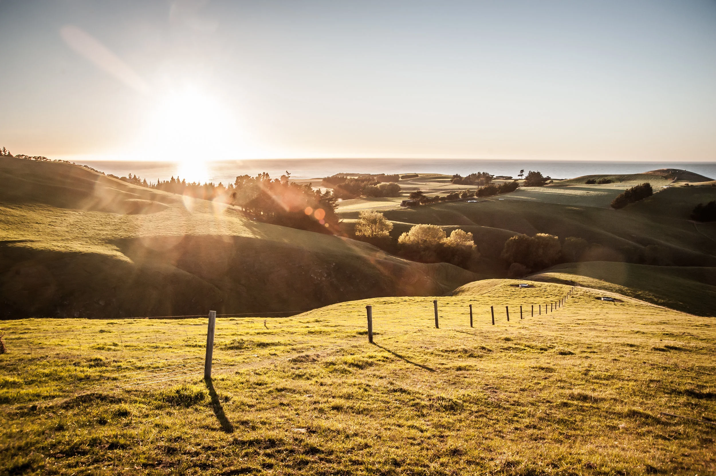 Do I really need a will? 5 reasons over 35s should take control of the future of their estate