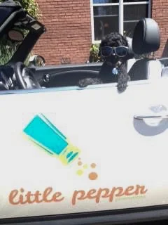 “get in loser, we’re going to little pepper!” - bob