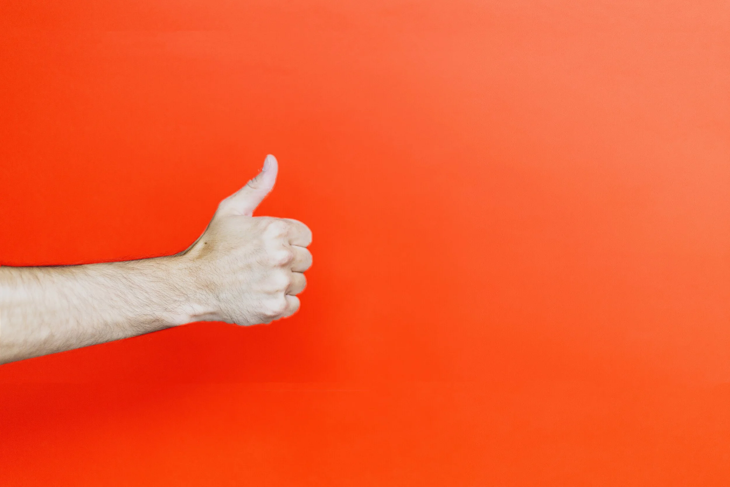 left-human-hand-2764675 (1).jpg