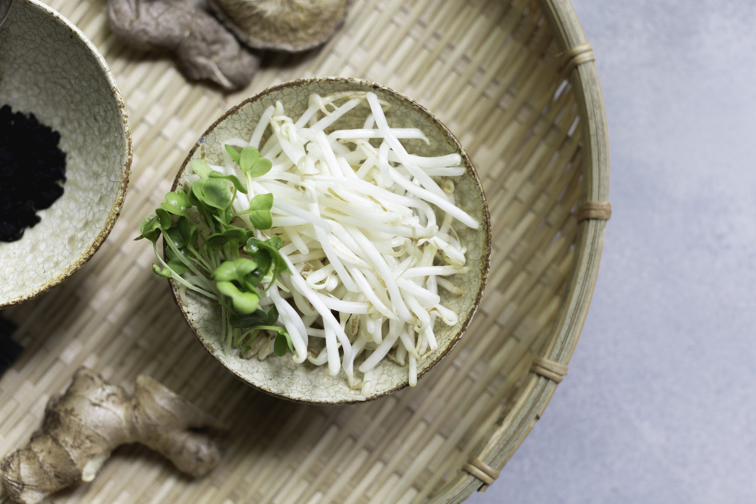 Bean Sprout Miso_2.jpg