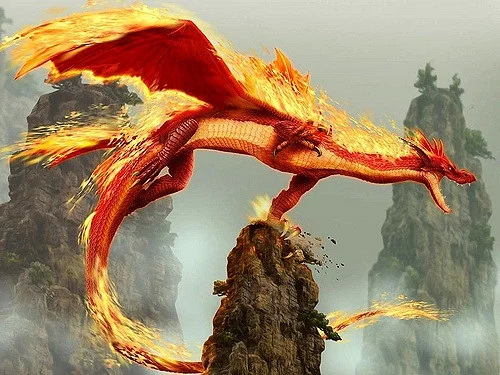 dragon.jpg