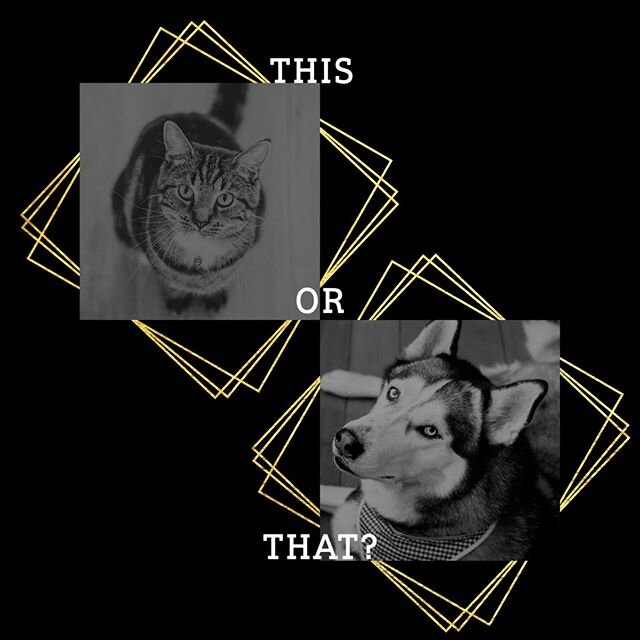 Today's question of the day is an important one! This or That?!?!?!⁣
⁣
My answer is THAT!!! I am a total dog person. ⁣
⁣
#taraleigh #qotd #authorsofinstagram #ishouldbewriting #weareuscomingsoon #amwritingromance #Romanceauthor