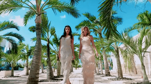 giphy-24.gif