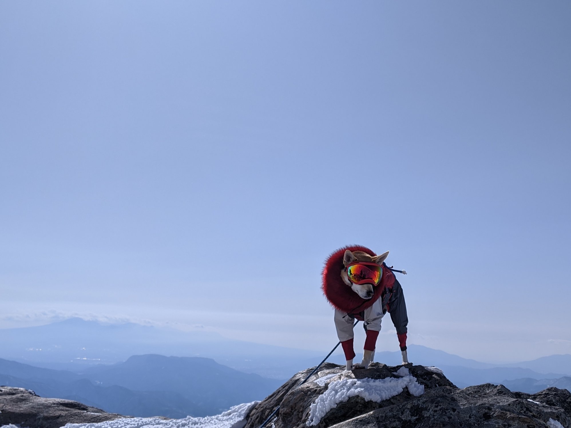 Japan Powder Culture Tours