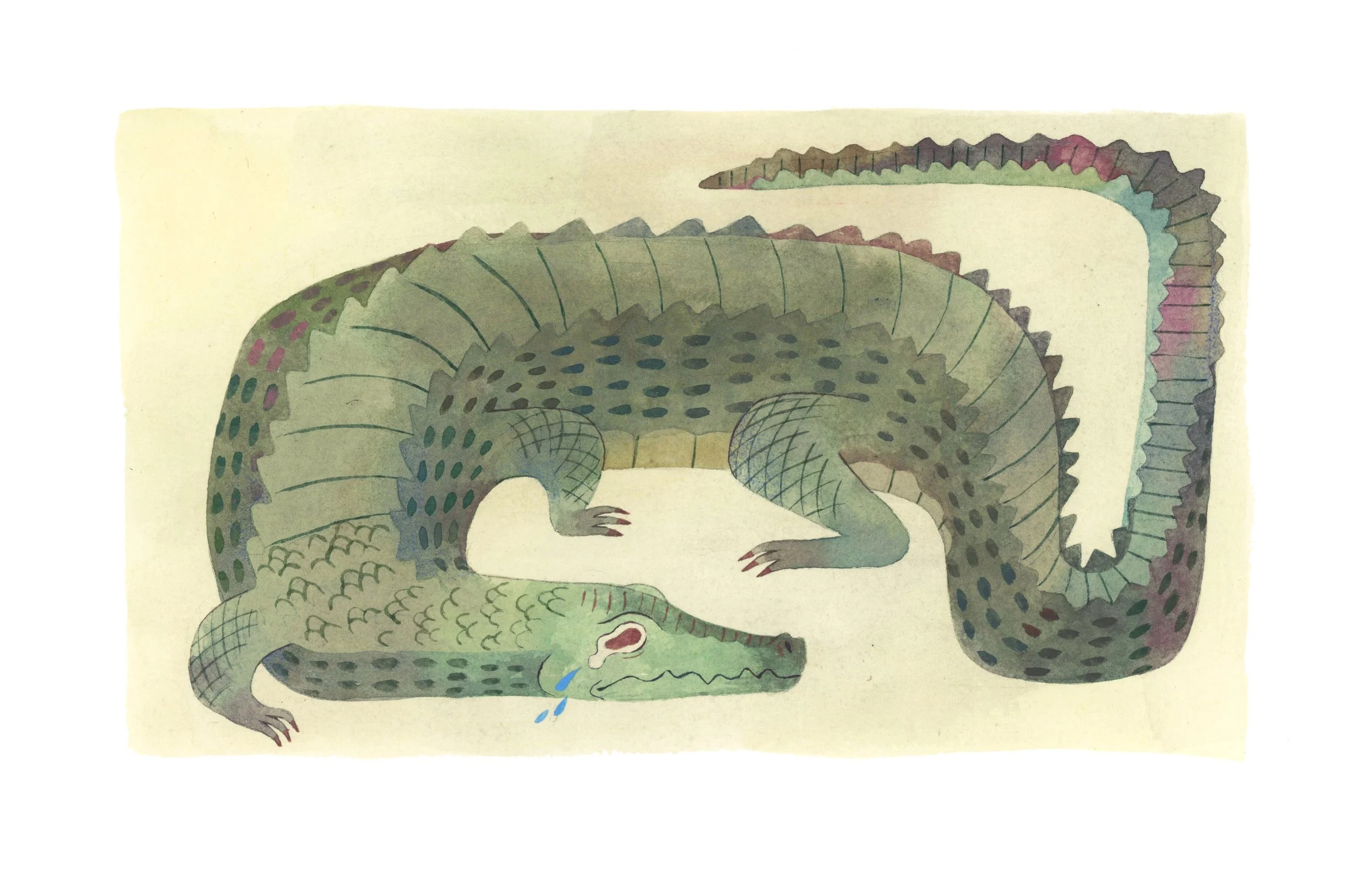 CROCODILE.jpg