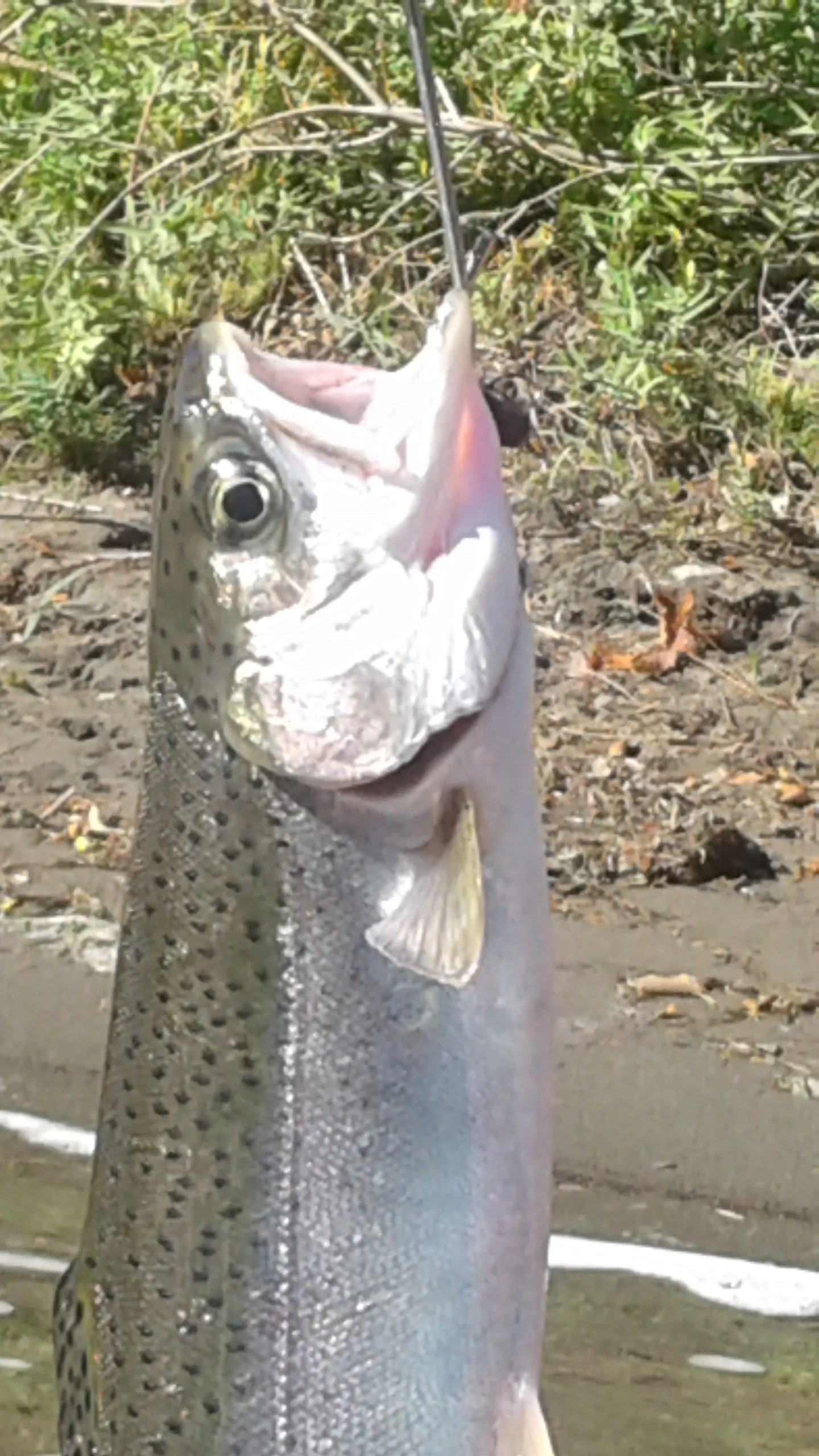 20171004_110100.jpg