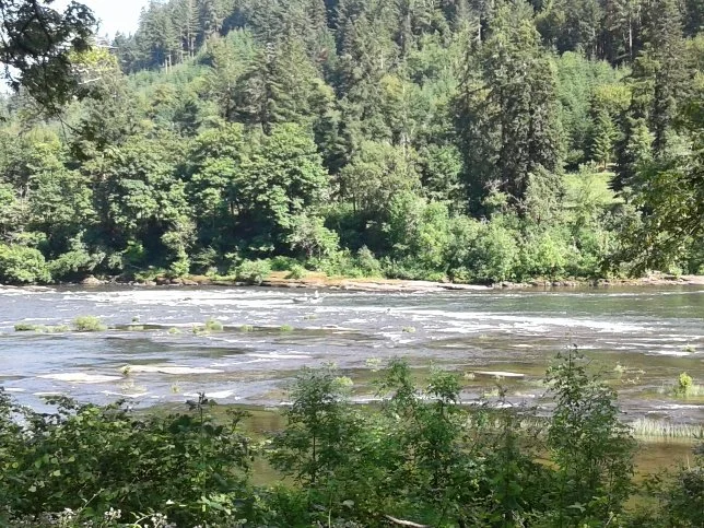 Umpqua River.jpg