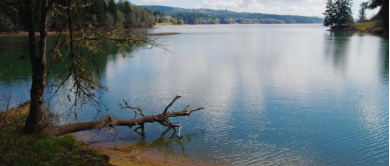 Henry Hagg Lake