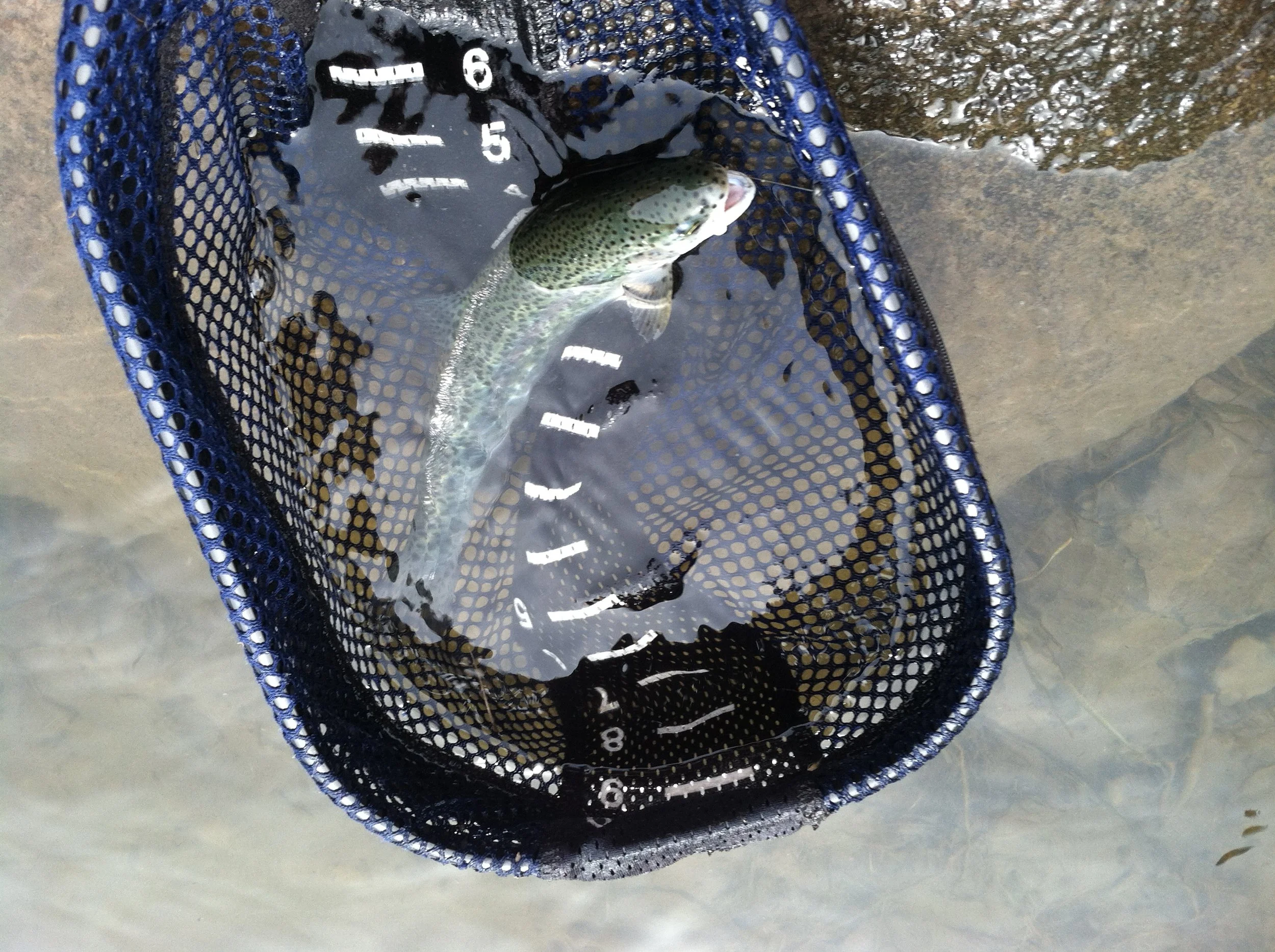 Laurance Lake -Cancelled