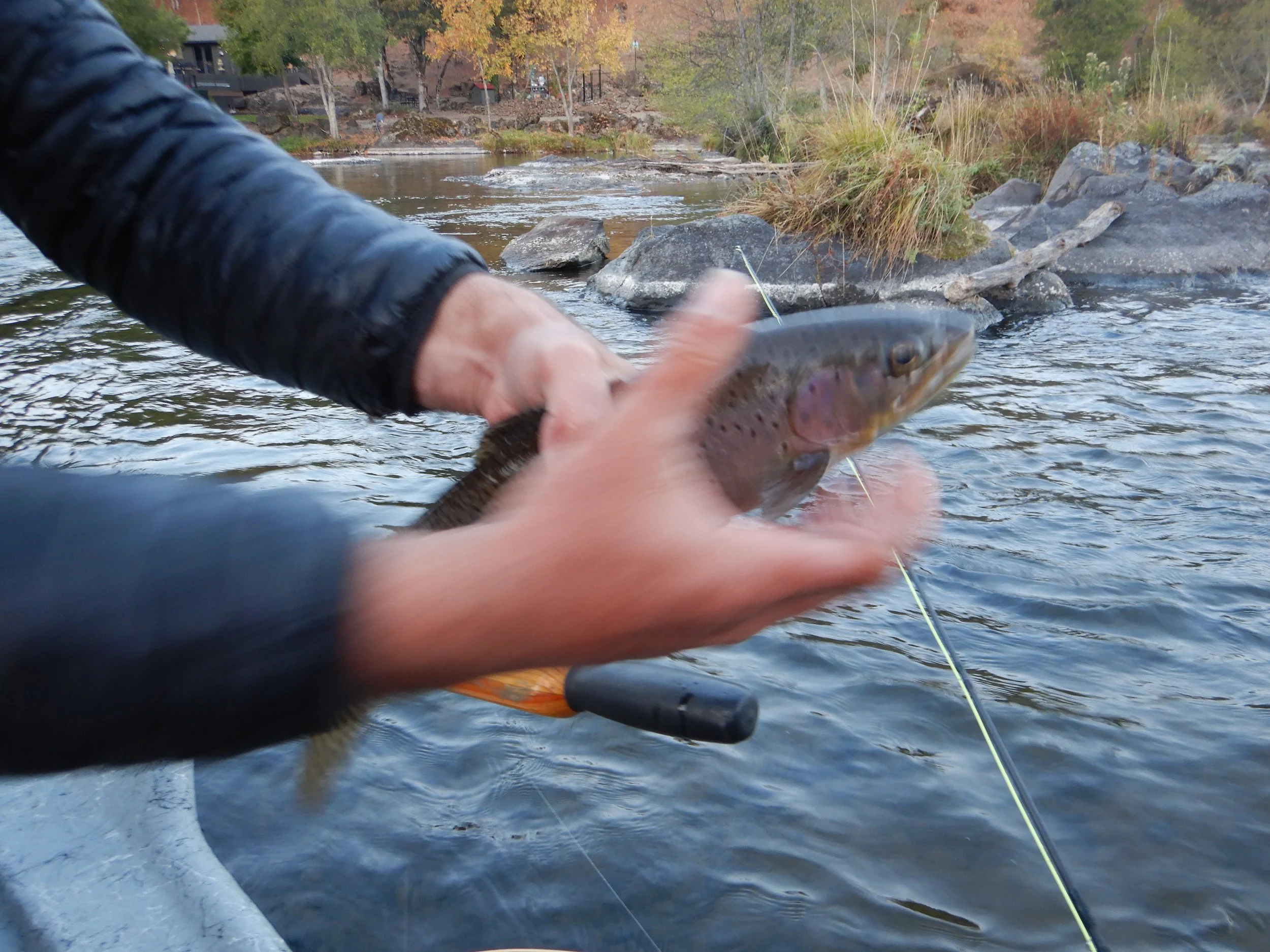 Deschutes River Outing