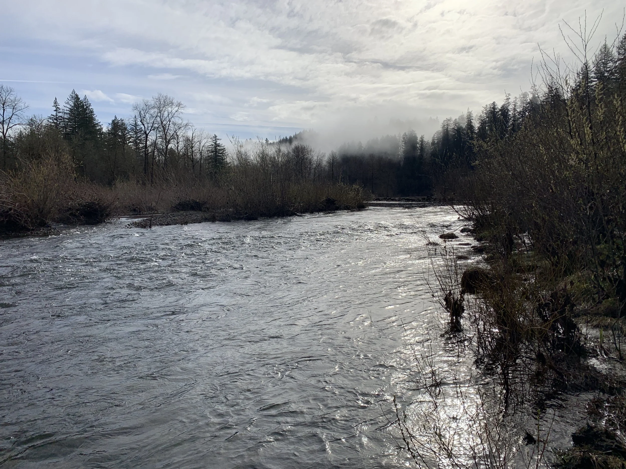 Sandy River Steelhead Outing