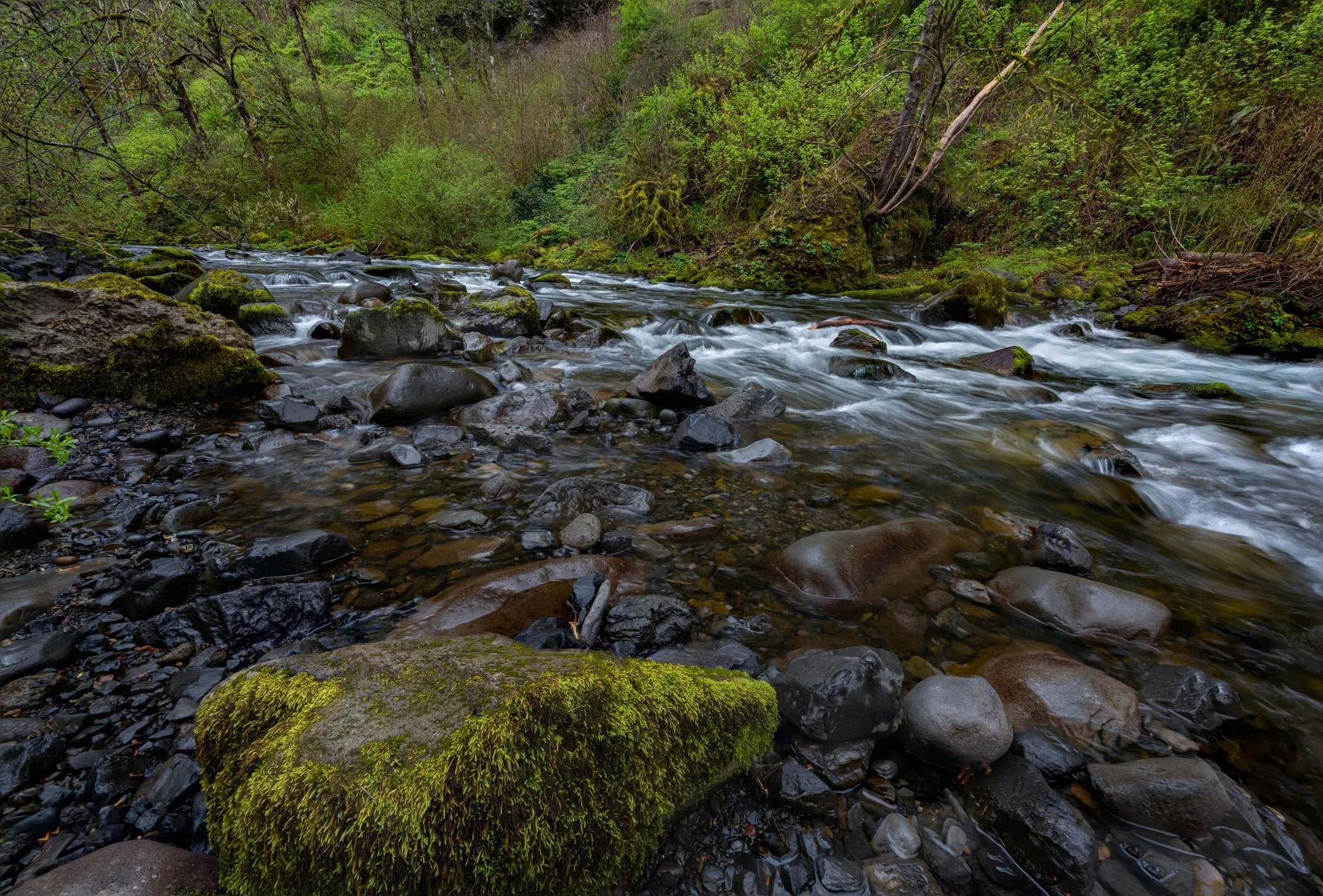 Tanner Creek Beginner Outing