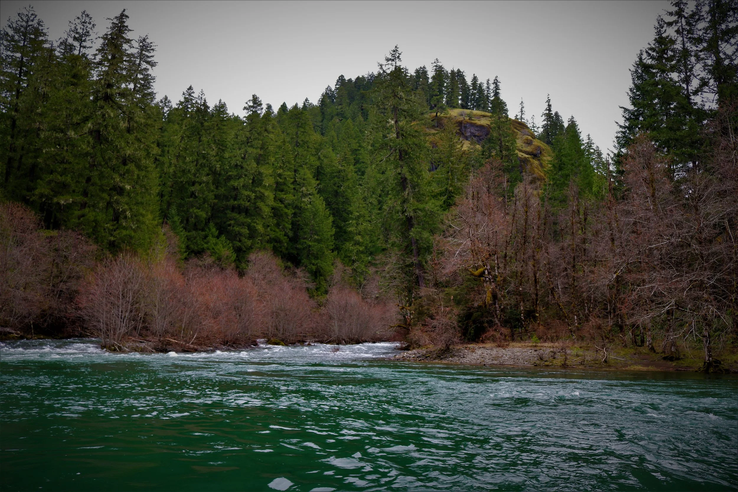 Collawash River Outing