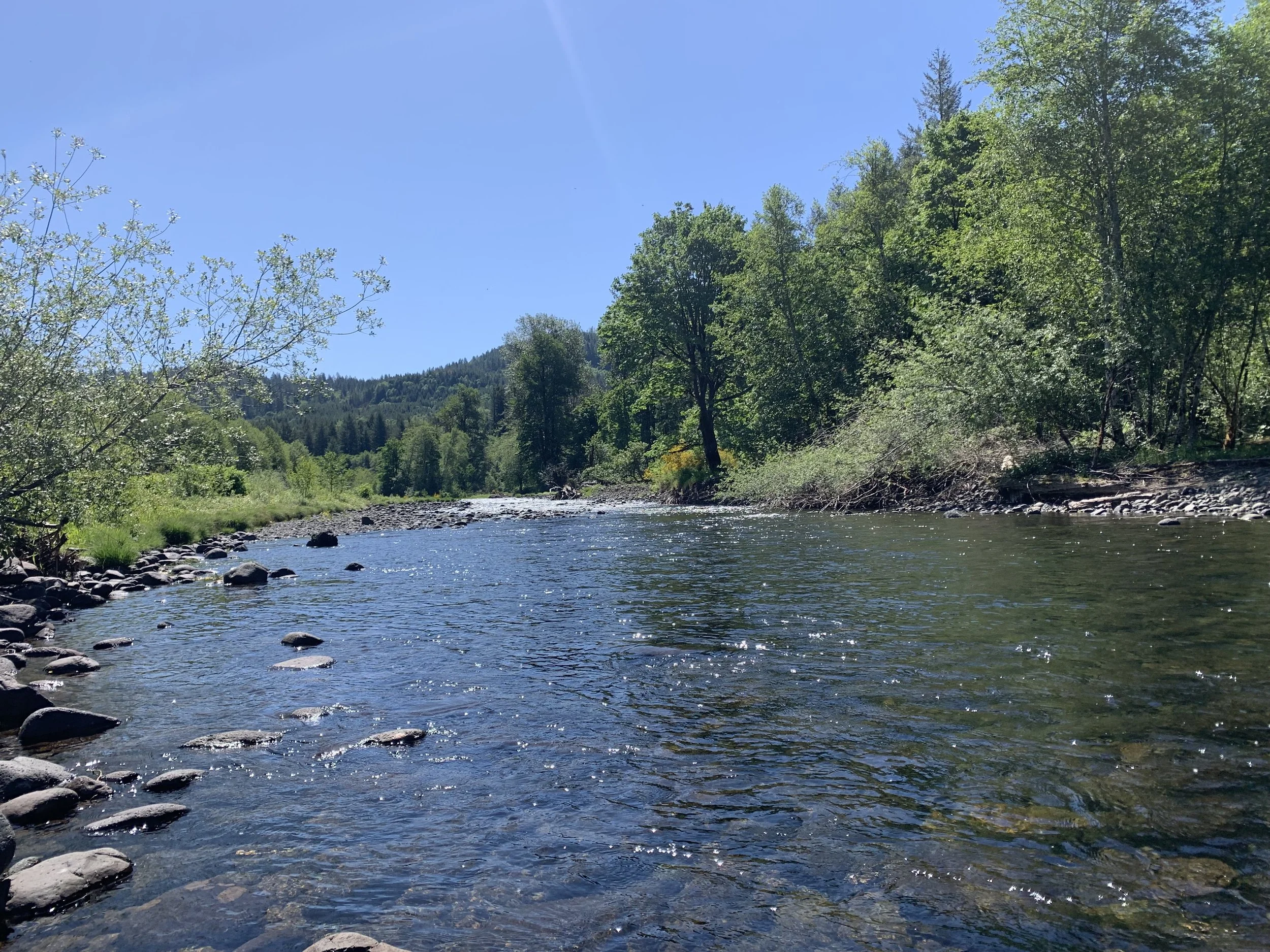 Trask or Wilson River Outing
