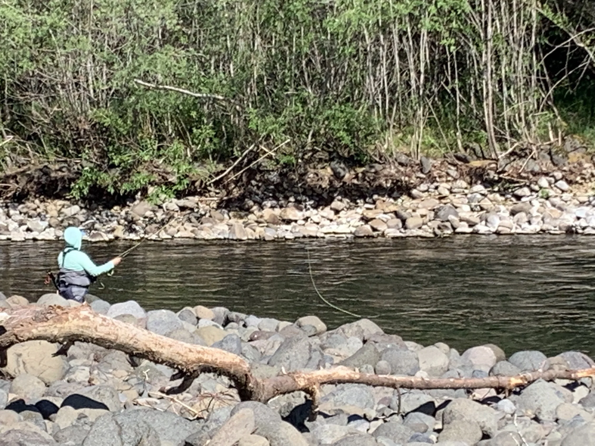 Steelhead Outing - Wilson River