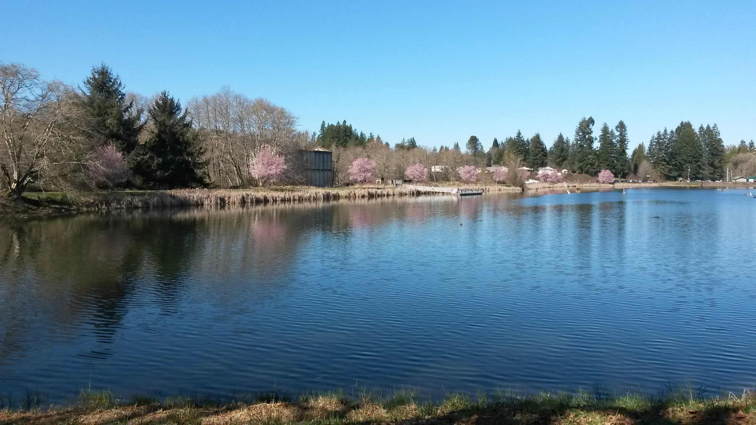 Vernonia Lake Outing