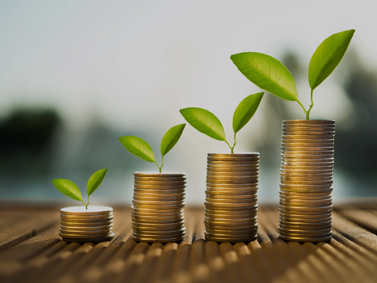 Fiscal Sponsor Funds: An Overview