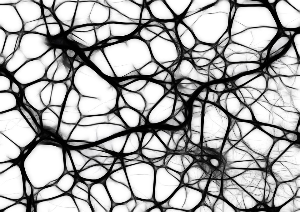 ANN (Artificial Neural Networks)-Machine Learning in your business